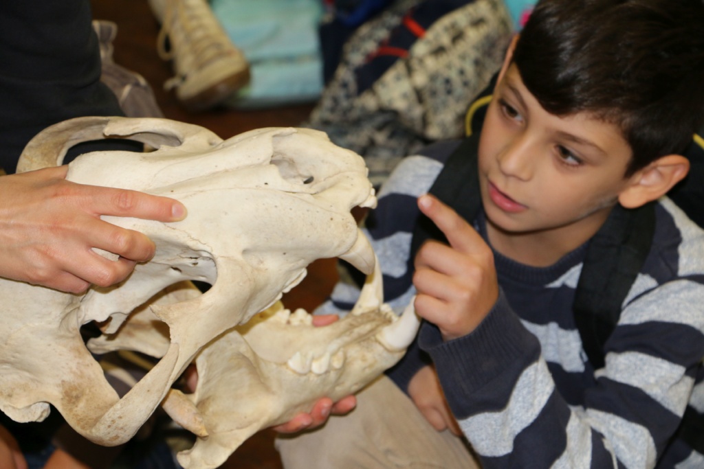 ZOOM Erlebniswelt: Neue Tiere in der Westenergie Zooschule